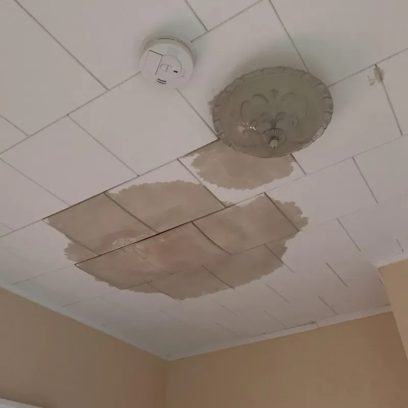 Ceiling Water Damage Repair in Lake Butler, FL