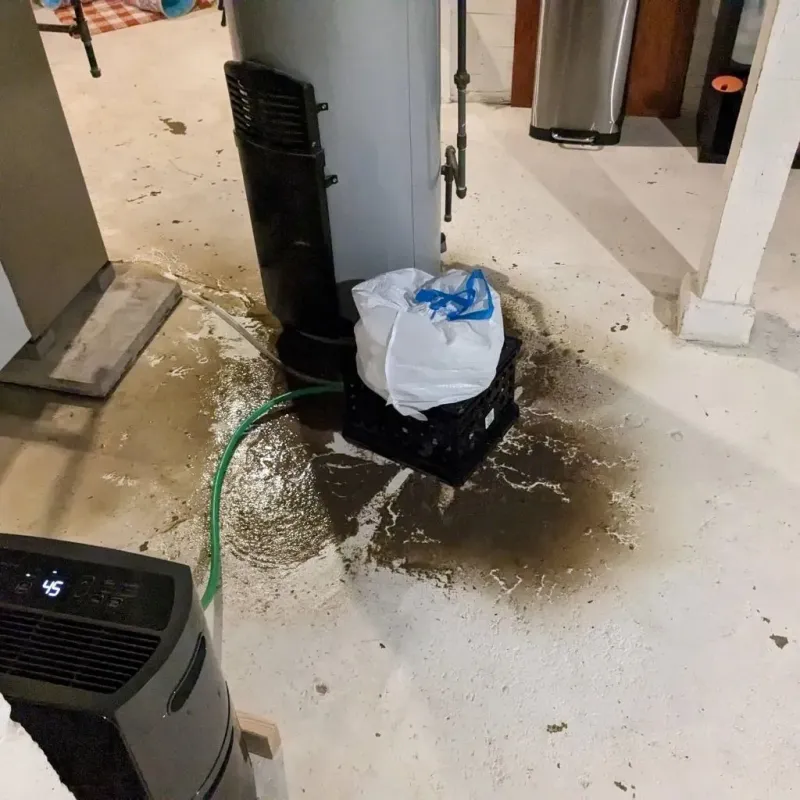 Sewage Backup Cleanup Service in Lake Butler, FL